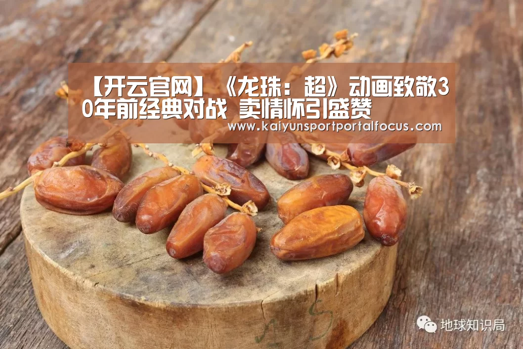 【开云官网】《龙珠：超》动画致敬30年前经典对战 卖情怀引盛赞(图2)